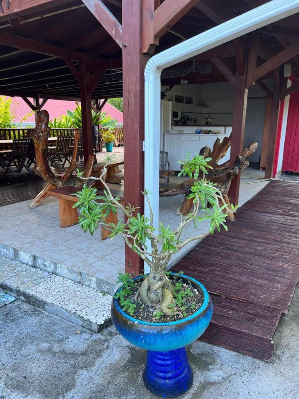 Hotel Le Neem à Saint-Francois  Extérieur photo
